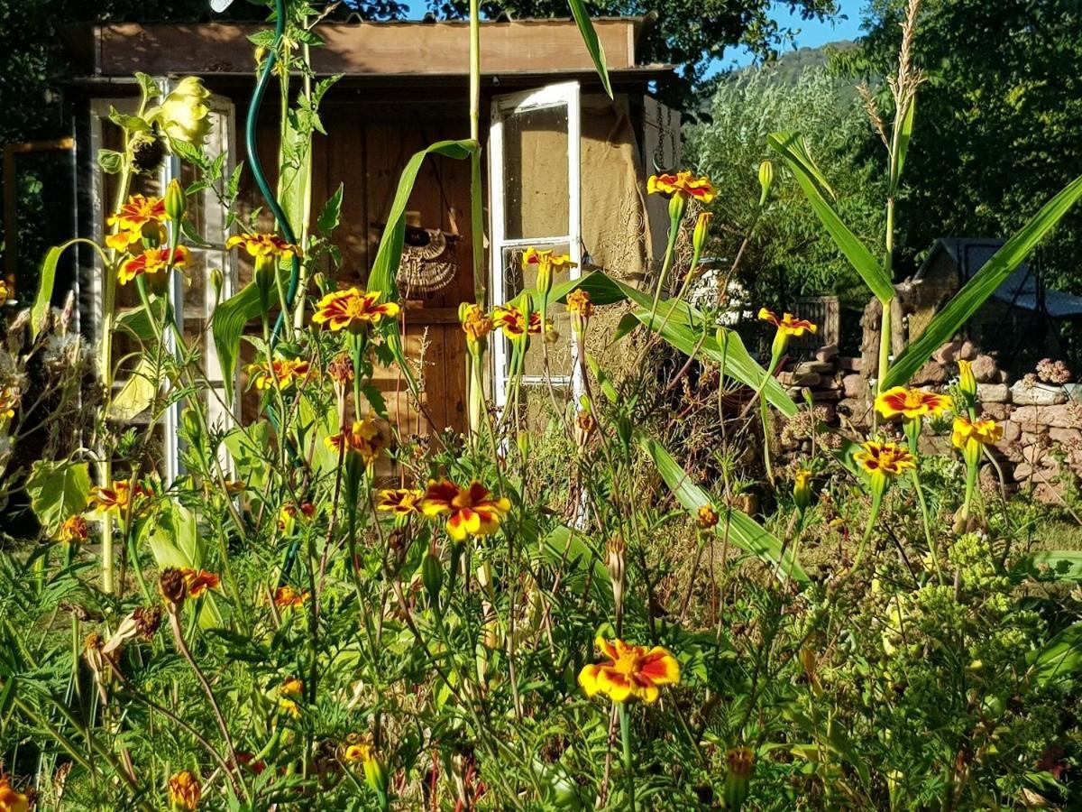 Bed and Breakfast Le Jardin Des Gouttes Rougegoutte Exteriér fotografie